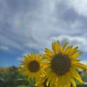 ヒメ日記 2025/10/21 21:00 投稿 さくら 風俗の神様　浜松店