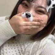 ヒメ日記 2025/10/29 01:37 投稿 さくら 風俗の神様　浜松店