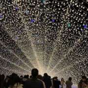 ヒメ日記 2025/12/24 18:10 投稿 さくら 風俗の神様　浜松店