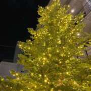 ヒメ日記 2025/12/24 19:50 投稿 さくら 風俗の神様　浜松店