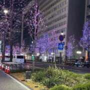 ヒメ日記 2025/12/28 20:10 投稿 さくら 風俗の神様　浜松店