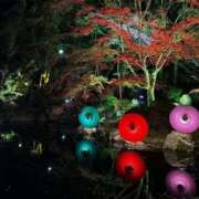 さくら さくら色に染まる…🌸🕊️ 風俗の神様　浜松店