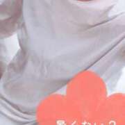 ヒメ日記 2025/05/11 17:01 投稿 ゆう奥様 川崎人妻ソープ Mint(ミント)