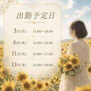 あかね奥様 8月前半の予定です 川崎人妻ソープ Mint(ミント)