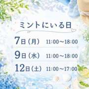 ヒメ日記 2026/09/06 09:23 投稿 あかね奥様 川崎人妻ソープ Mint(ミント)