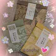 ヒメ日記 2025/02/19 09:51 投稿 しのぶ奥様 川崎人妻ソープ Mint(ミント)