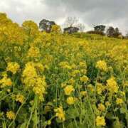 ヒメ日記 2025/03/17 10:44 投稿 しのぶ奥様 川崎人妻ソープ Mint(ミント)