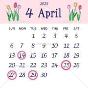 ヒメ日記 2025/04/09 16:46 投稿 しのぶ奥様 川崎人妻ソープ Mint(ミント)