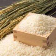 ヒメ日記 2025/08/25 13:57 投稿 しのぶ奥様 川崎人妻ソープ Mint(ミント)