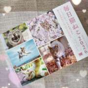 ヒメ日記 2025/11/16 14:42 投稿 しのぶ奥様 川崎人妻ソープ Mint(ミント)