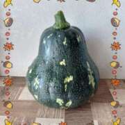 しのぶ奥様 11/17（月）のありがとう🩷 川崎人妻ソープ Mint(ミント)