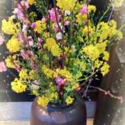 しのぶ奥様 2/16(月)のありがとう🩷 川崎人妻ソープ Mint(ミント)