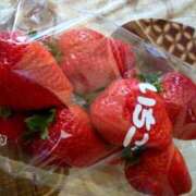 しのぶ奥様 4/12(日)のありがとう🩷 川崎人妻ソープ Mint(ミント)