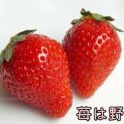 ヒメ日記 2026/06/09 15:58 投稿 しのぶ奥様 川崎人妻ソープ Mint(ミント)