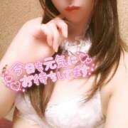 ヒメ日記 2024/12/27 12:44 投稿 さくら奥様 川崎人妻ソープ Mint(ミント)