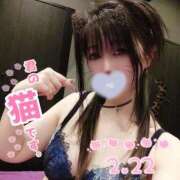 ヒメ日記 2025/02/22 11:48 投稿 さくら奥様 川崎人妻ソープ Mint(ミント)