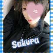 ヒメ日記 2025/04/05 10:44 投稿 さくら奥様 川崎人妻ソープ Mint(ミント)