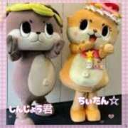 ヒメ日記 2025/05/11 11:50 投稿 さくら奥様 川崎人妻ソープ Mint(ミント)