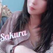 ヒメ日記 2025/05/13 11:49 投稿 さくら奥様 川崎人妻ソープ Mint(ミント)