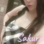 ヒメ日記 2025/08/24 10:41 投稿 さくら奥様 川崎人妻ソープ Mint(ミント)