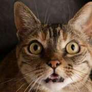 ヒメ日記 2025/09/03 08:15 投稿 さくら奥様 川崎人妻ソープ Mint(ミント)