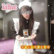 ヒメ日記 2025/10/31 12:05 投稿 さくら奥様 川崎人妻ソープ Mint(ミント)