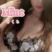 ヒメ日記 2025/11/12 12:05 投稿 さくら奥様 川崎人妻ソープ Mint(ミント)