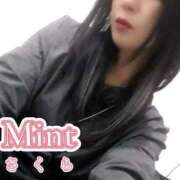 ヒメ日記 2025/11/13 12:03 投稿 さくら奥様 川崎人妻ソープ Mint(ミント)