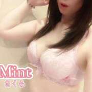 ヒメ日記 2025/11/30 06:00 投稿 さくら奥様 川崎人妻ソープ Mint(ミント)
