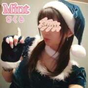ヒメ日記 2025/12/23 06:00 投稿 さくら奥様 川崎人妻ソープ Mint(ミント)