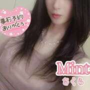 ヒメ日記 2025/12/25 12:25 投稿 さくら奥様 川崎人妻ソープ Mint(ミント)