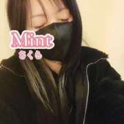 ヒメ日記 2026/02/12 21:44 投稿 さくら奥様 川崎人妻ソープ Mint(ミント)