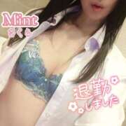 ヒメ日記 2026/02/15 14:54 投稿 さくら奥様 川崎人妻ソープ Mint(ミント)