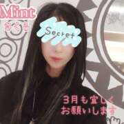 ヒメ日記 2026/03/01 12:16 投稿 さくら奥様 川崎人妻ソープ Mint(ミント)