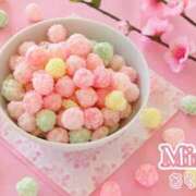 ヒメ日記 2026/03/03 12:46 投稿 さくら奥様 川崎人妻ソープ Mint(ミント)