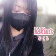 ヒメ日記 2026/03/07 12:17 投稿 さくら奥様 川崎人妻ソープ Mint(ミント)