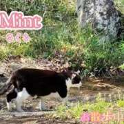 ヒメ日記 2026/04/04 12:25 投稿 さくら奥様 川崎人妻ソープ Mint(ミント)