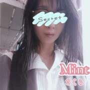 ヒメ日記 2026/04/11 13:28 投稿 さくら奥様 川崎人妻ソープ Mint(ミント)