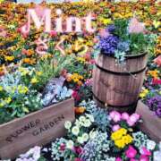 ヒメ日記 2026/04/17 11:45 投稿 さくら奥様 川崎人妻ソープ Mint(ミント)