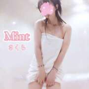 ヒメ日記 2026/05/20 12:16 投稿 さくら奥様 川崎人妻ソープ Mint(ミント)