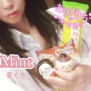 ヒメ日記 2026/06/07 19:31 投稿 さくら奥様 川崎人妻ソープ Mint(ミント)