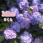 ヒメ日記 2026/06/13 12:16 投稿 さくら奥様 川崎人妻ソープ Mint(ミント)