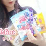 ヒメ日記 2026/06/19 12:17 投稿 さくら奥様 川崎人妻ソープ Mint(ミント)