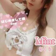 ヒメ日記 2026/10/07 21:05 投稿 さくら奥様 川崎人妻ソープ Mint(ミント)