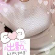 ヒメ日記 2025/11/13 19:13 投稿 りんか奥様 川崎人妻ソープ Mint(ミント)