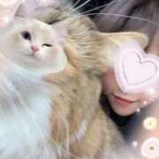 ヒメ日記 2025/09/12 23:45 投稿 えり奥様 川崎人妻ソープ Mint(ミント)