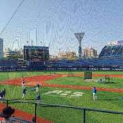 ヒメ日記 2025/05/28 23:51 投稿 ななみ奥様 川崎人妻ソープ Mint(ミント)