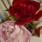 ヒメ日記 2025/06/09 12:46 投稿 ななみ奥様 川崎人妻ソープ Mint(ミント)