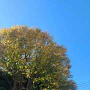 ななみ奥様 ごぶさたしました🙇 川崎人妻ソープ Mint(ミント)