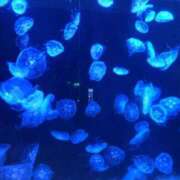 ななみ奥様 2026年！ 川崎人妻ソープ Mint(ミント)